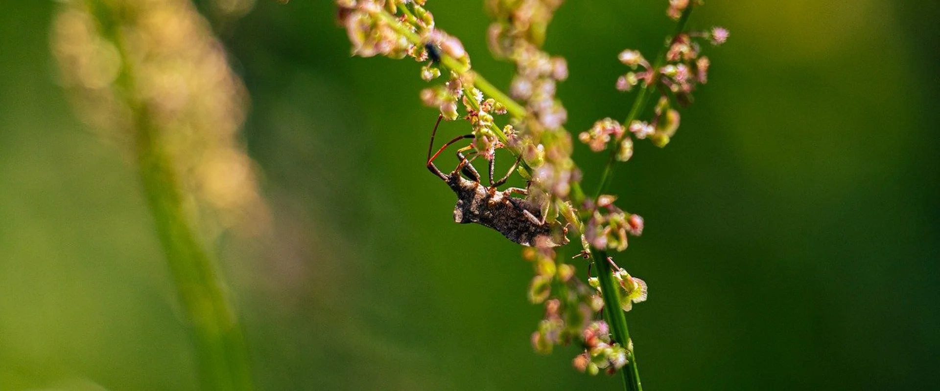 乐天堂体育PG电子